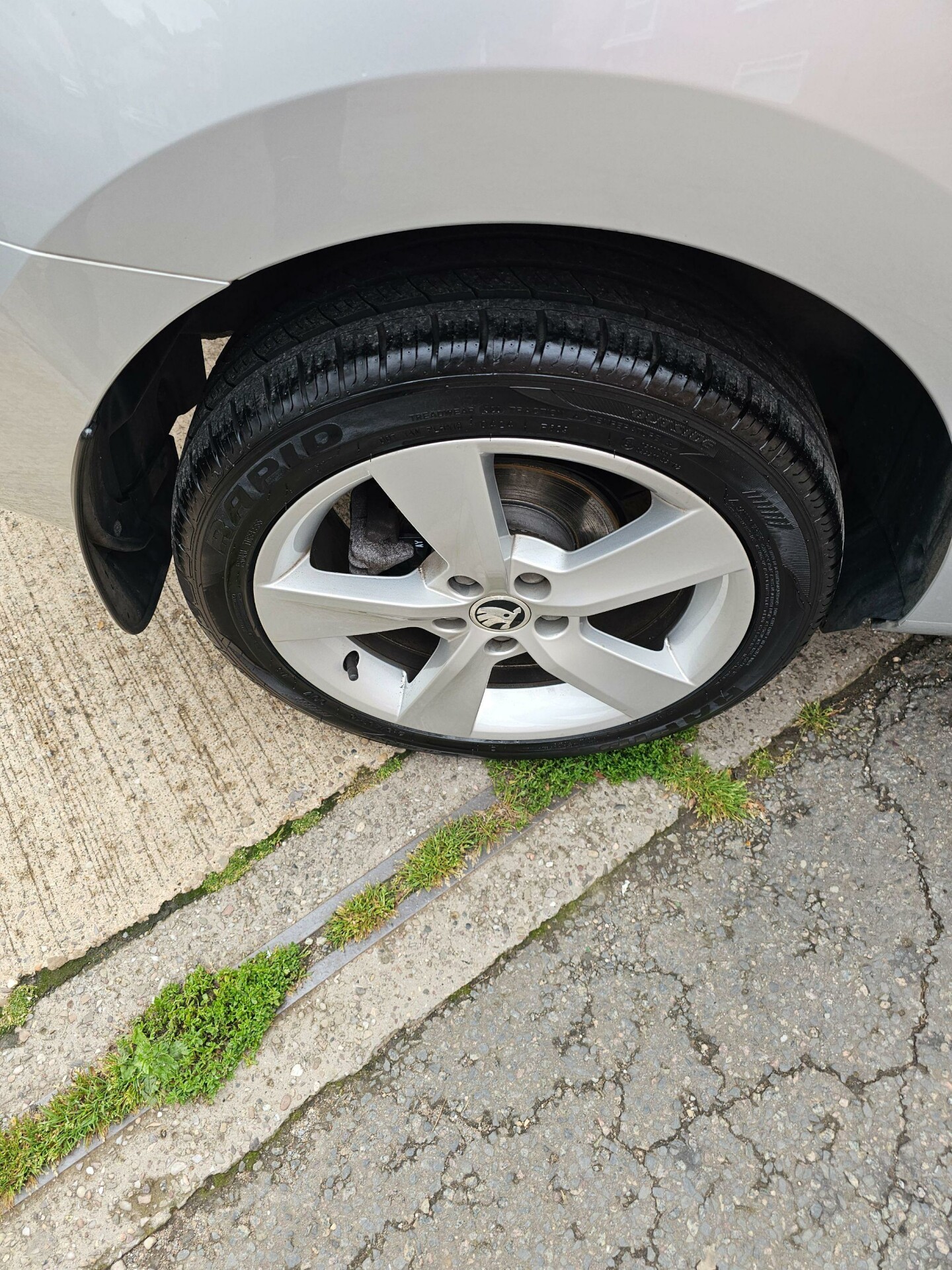 Skoda Rapid