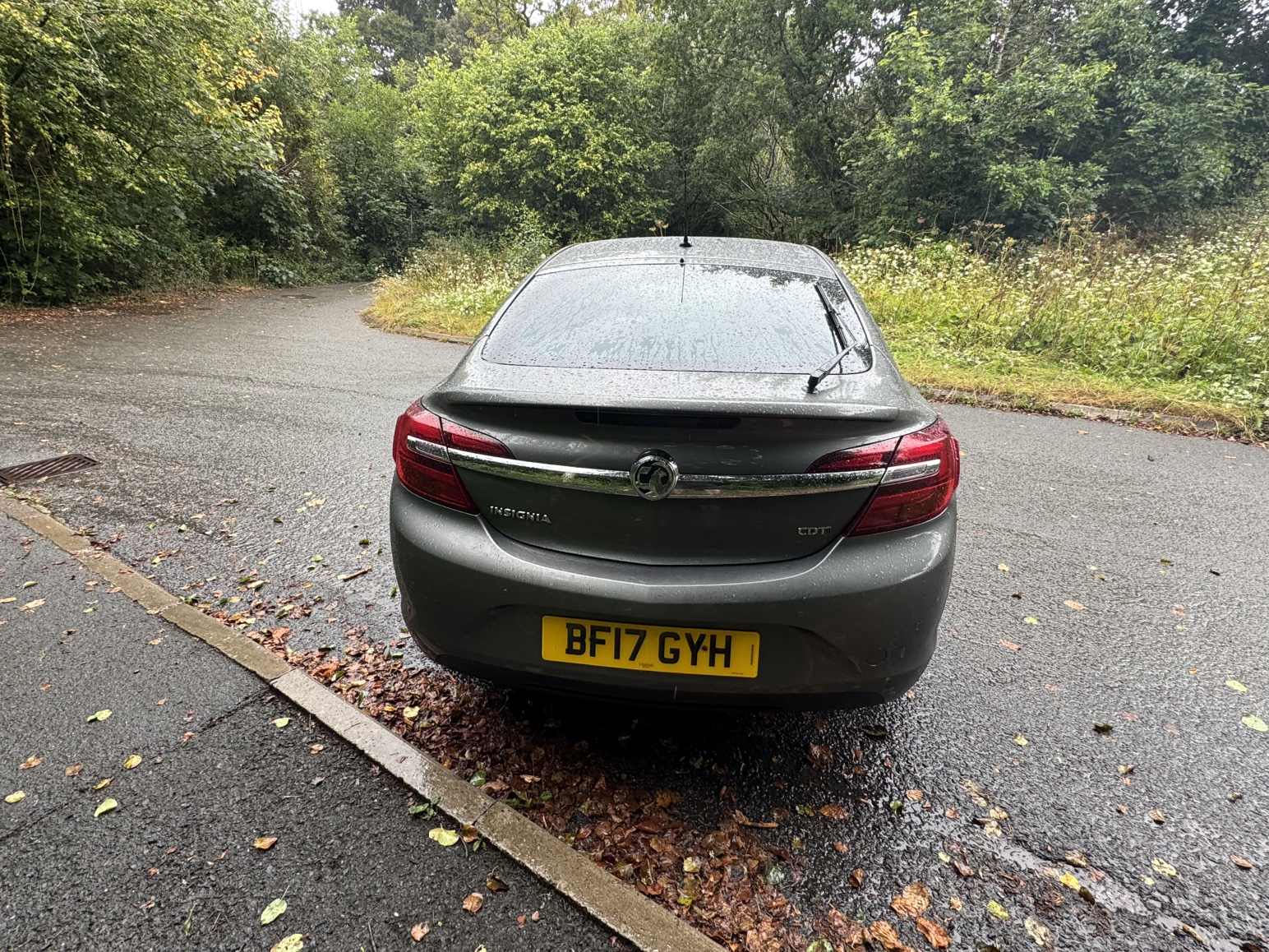 Vauxhall Insignia