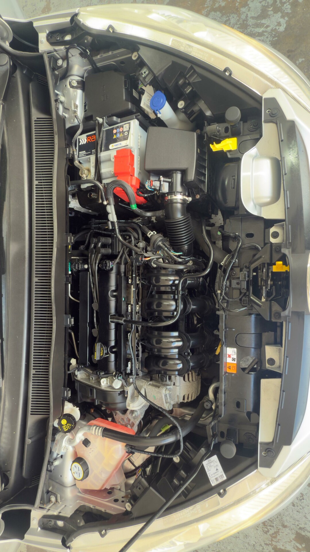 Ford B Max