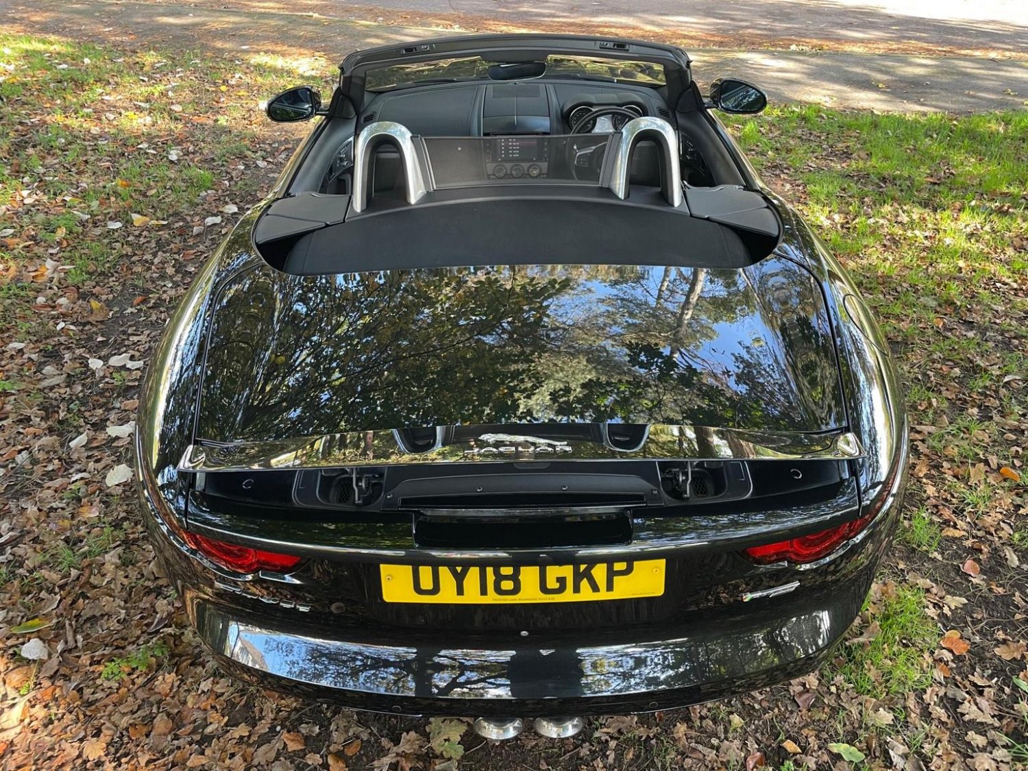 Jaguar F Type