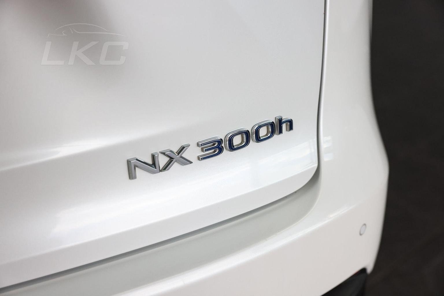 Lexus NX 300h