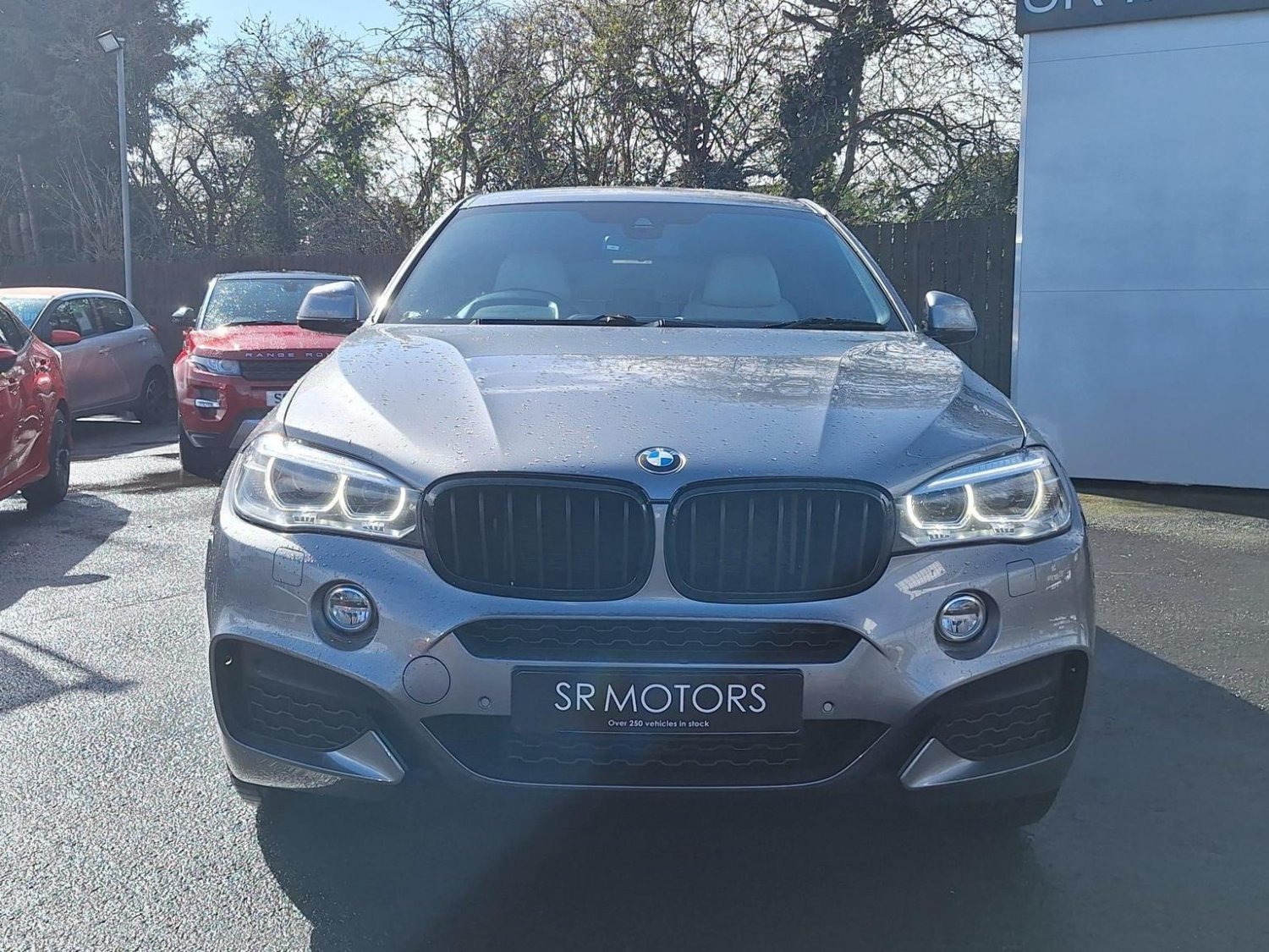BMW X6