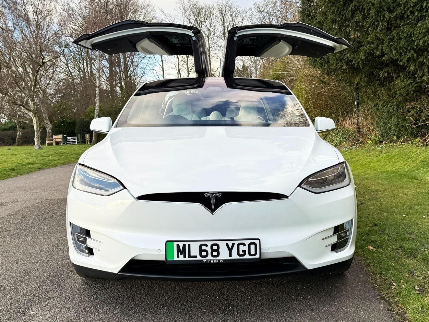 Tesla Model X