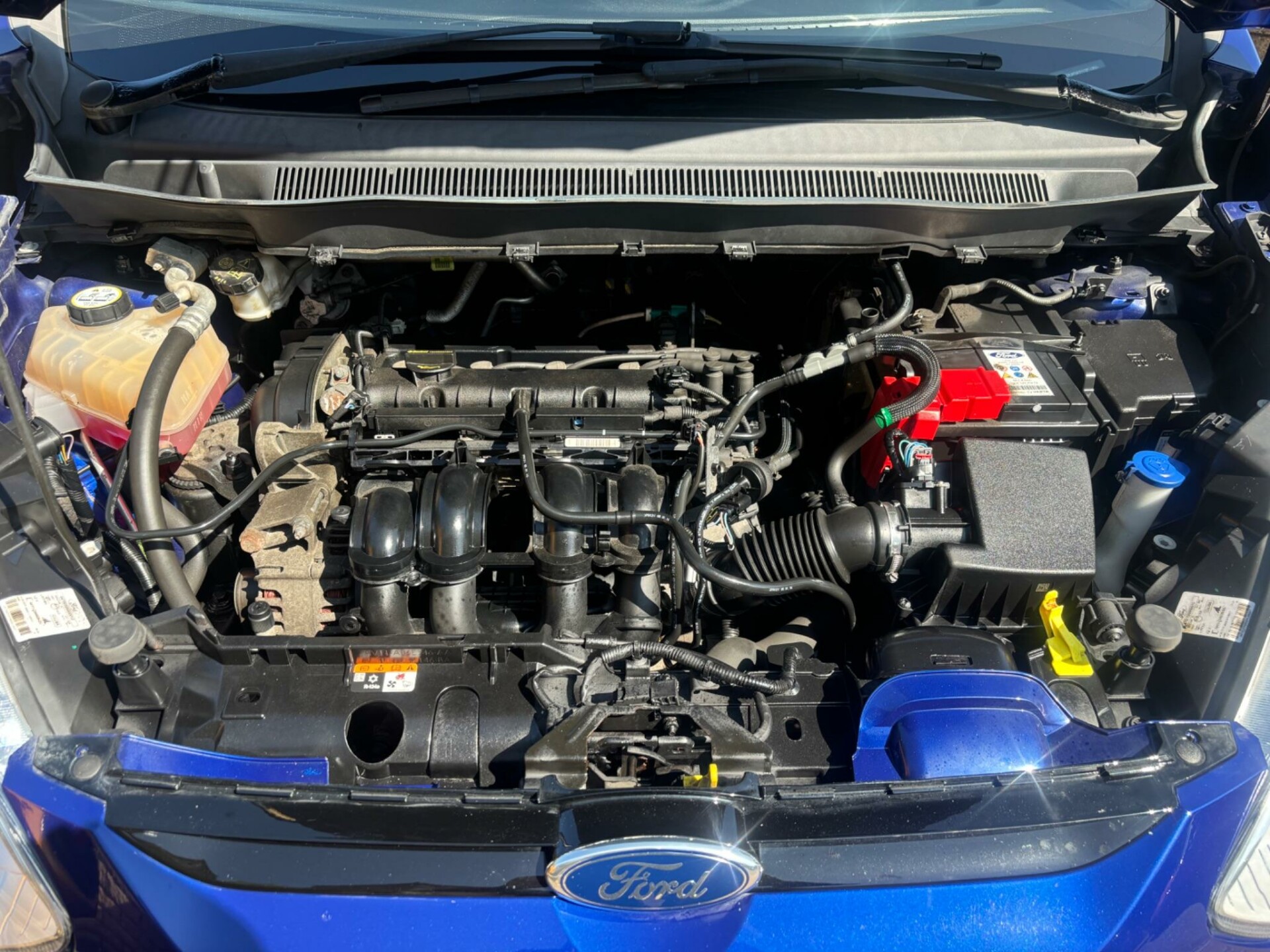 Ford B Max