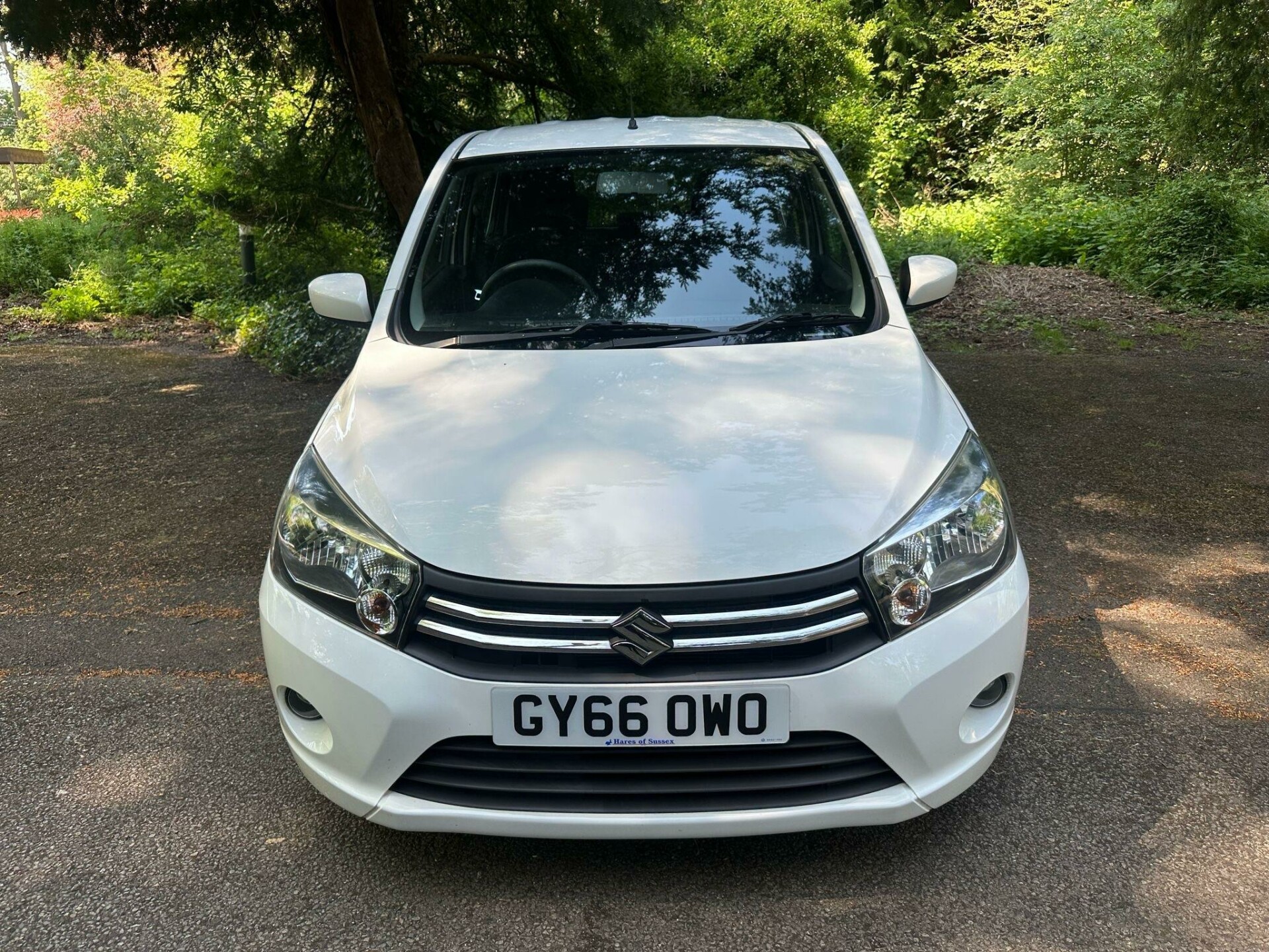 Suzuki Celerio