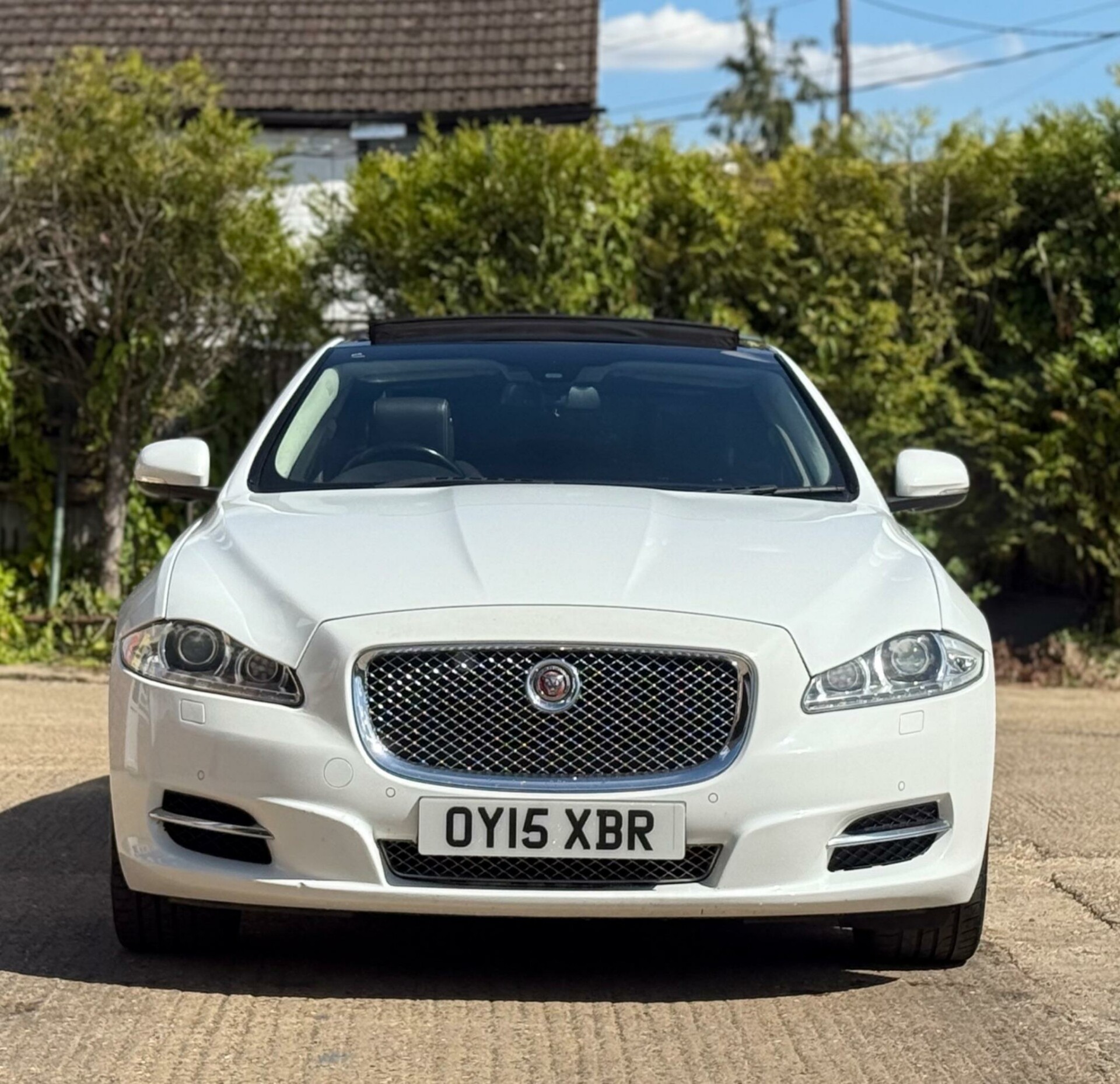 Jaguar XJ
