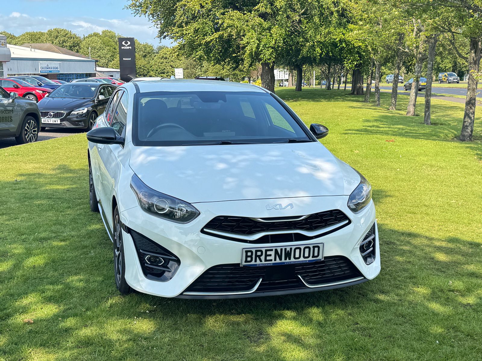Kia PRO_CEE'D