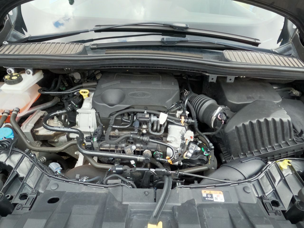 Ford C Max