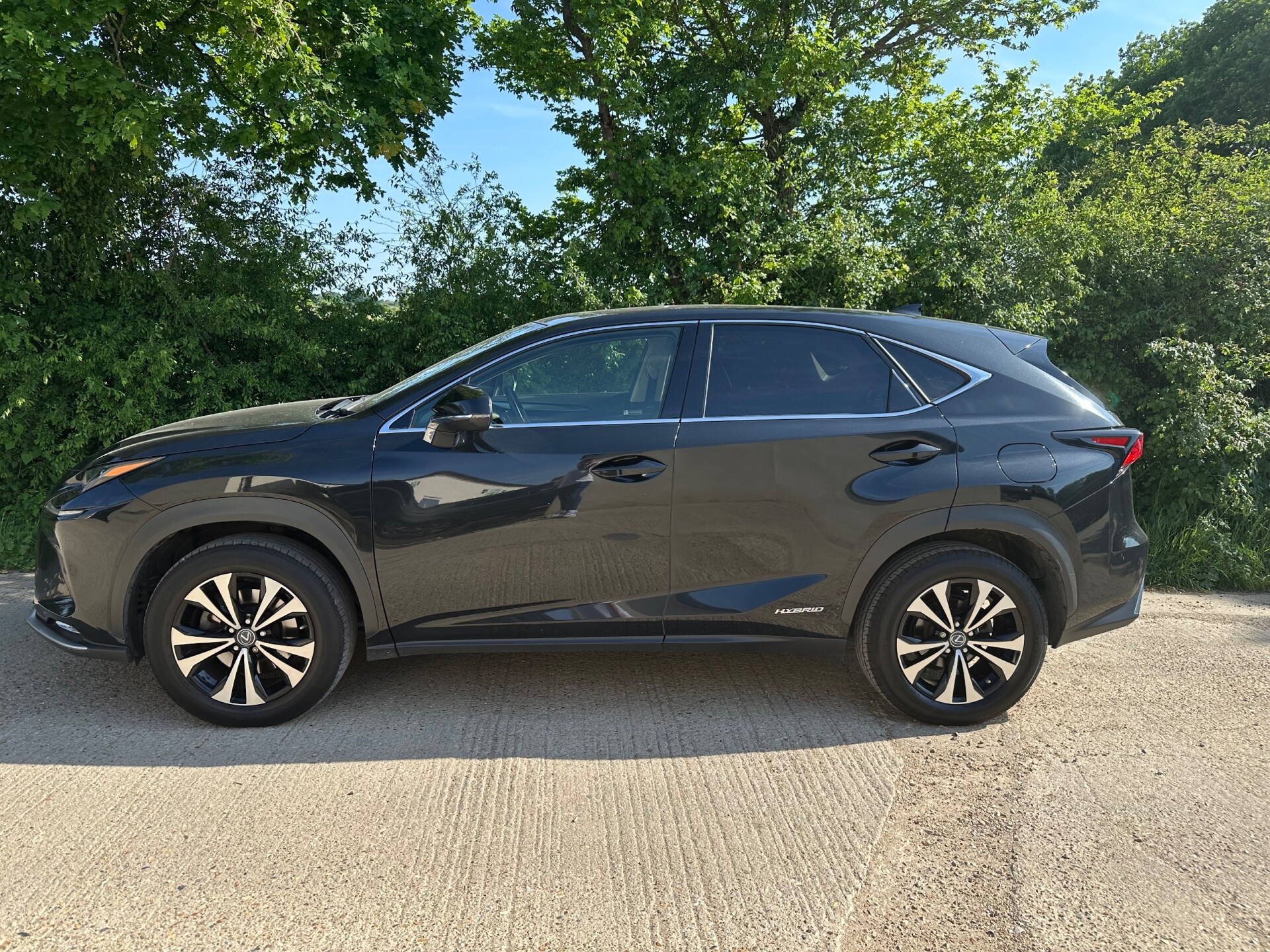 Lexus NX 300h