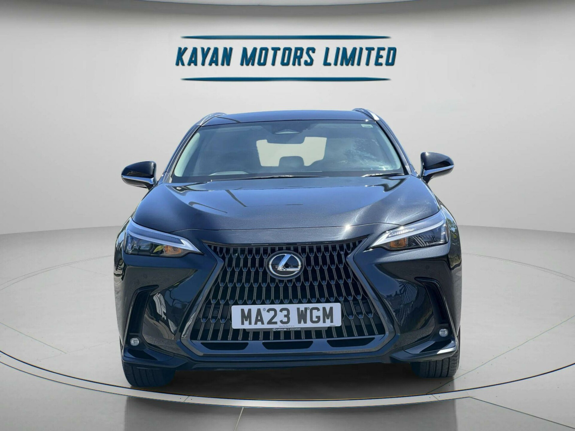 Lexus NX 300h