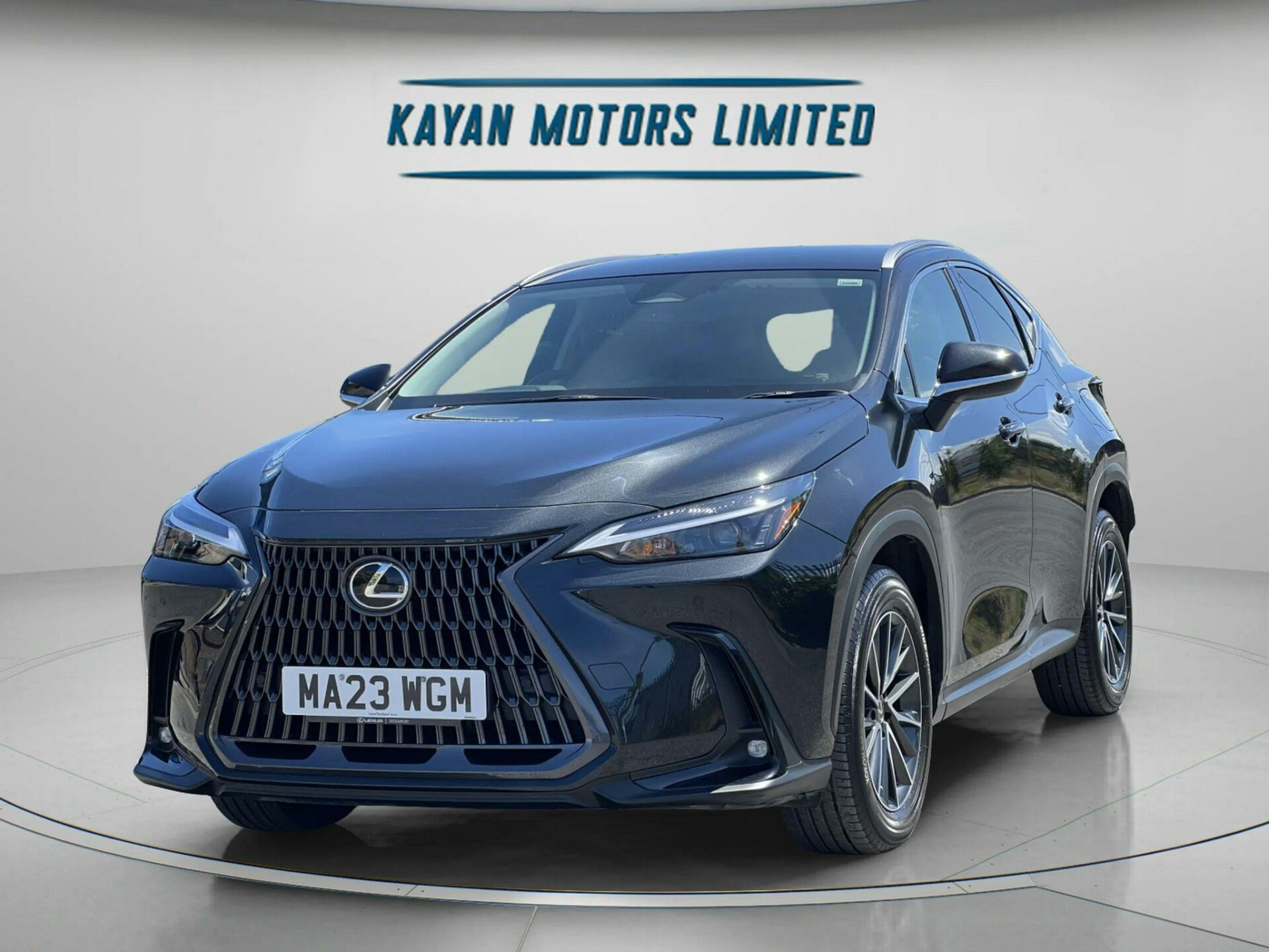 Lexus NX 300h