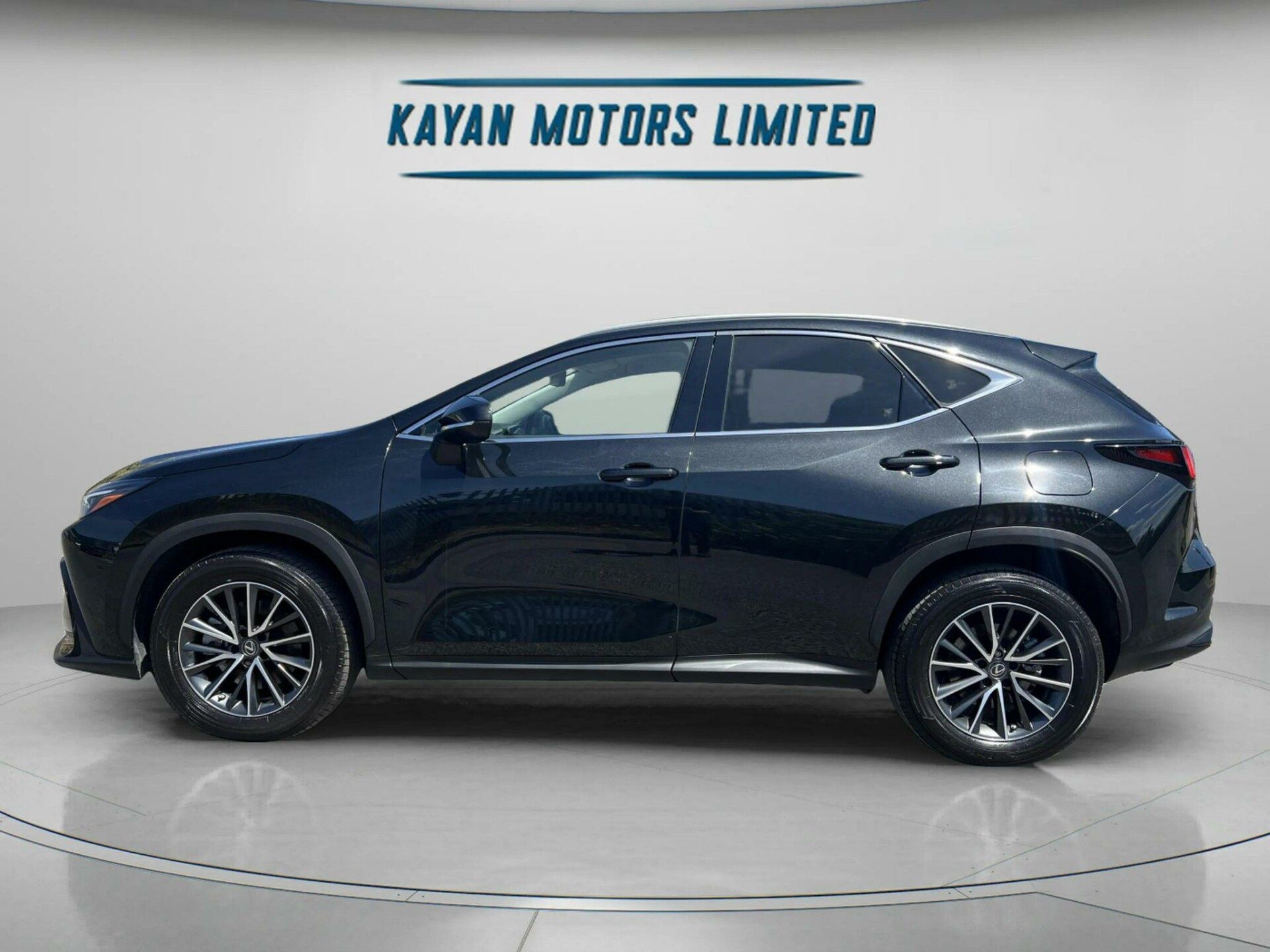Lexus NX 300h