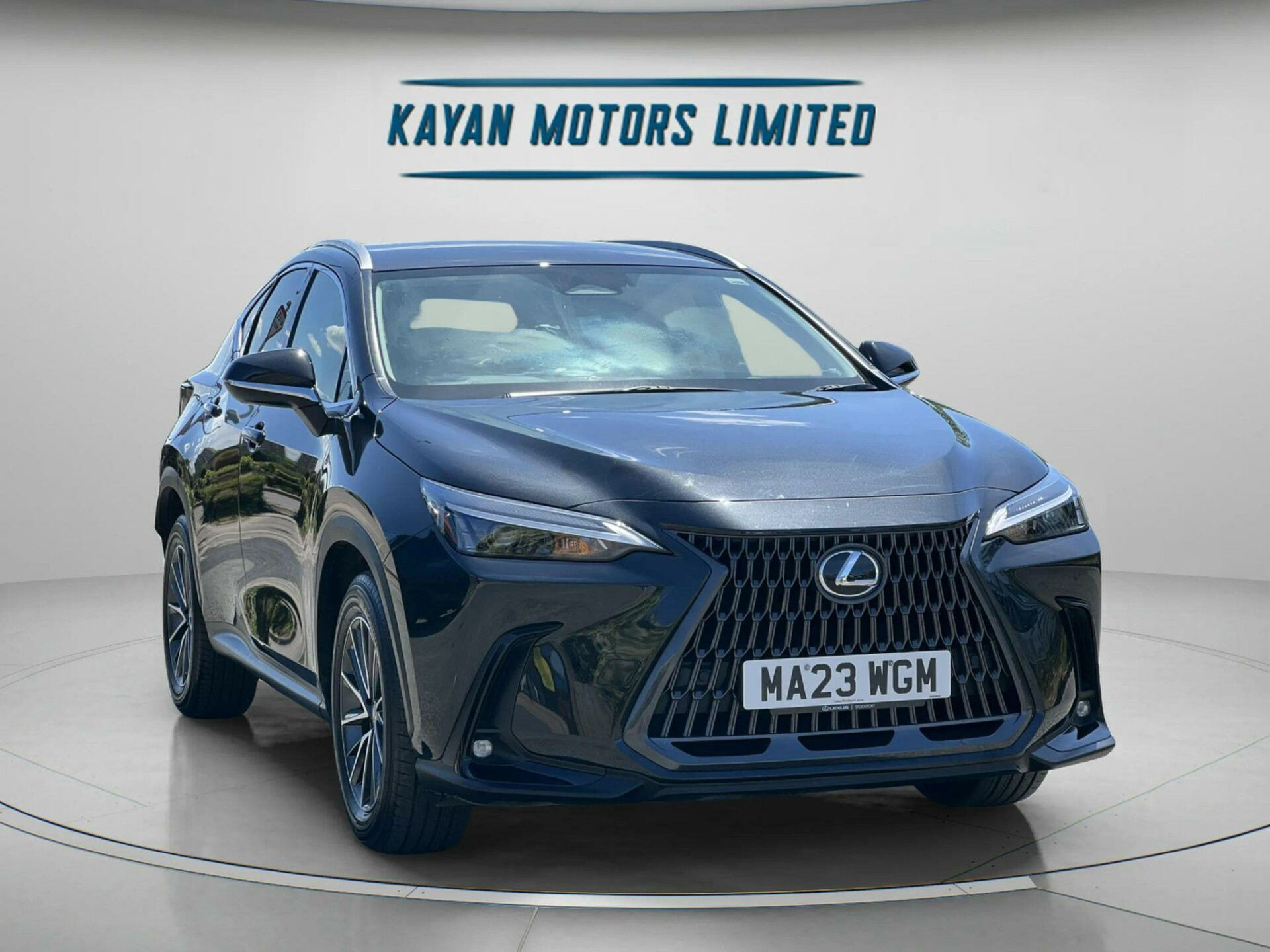Lexus NX 300h