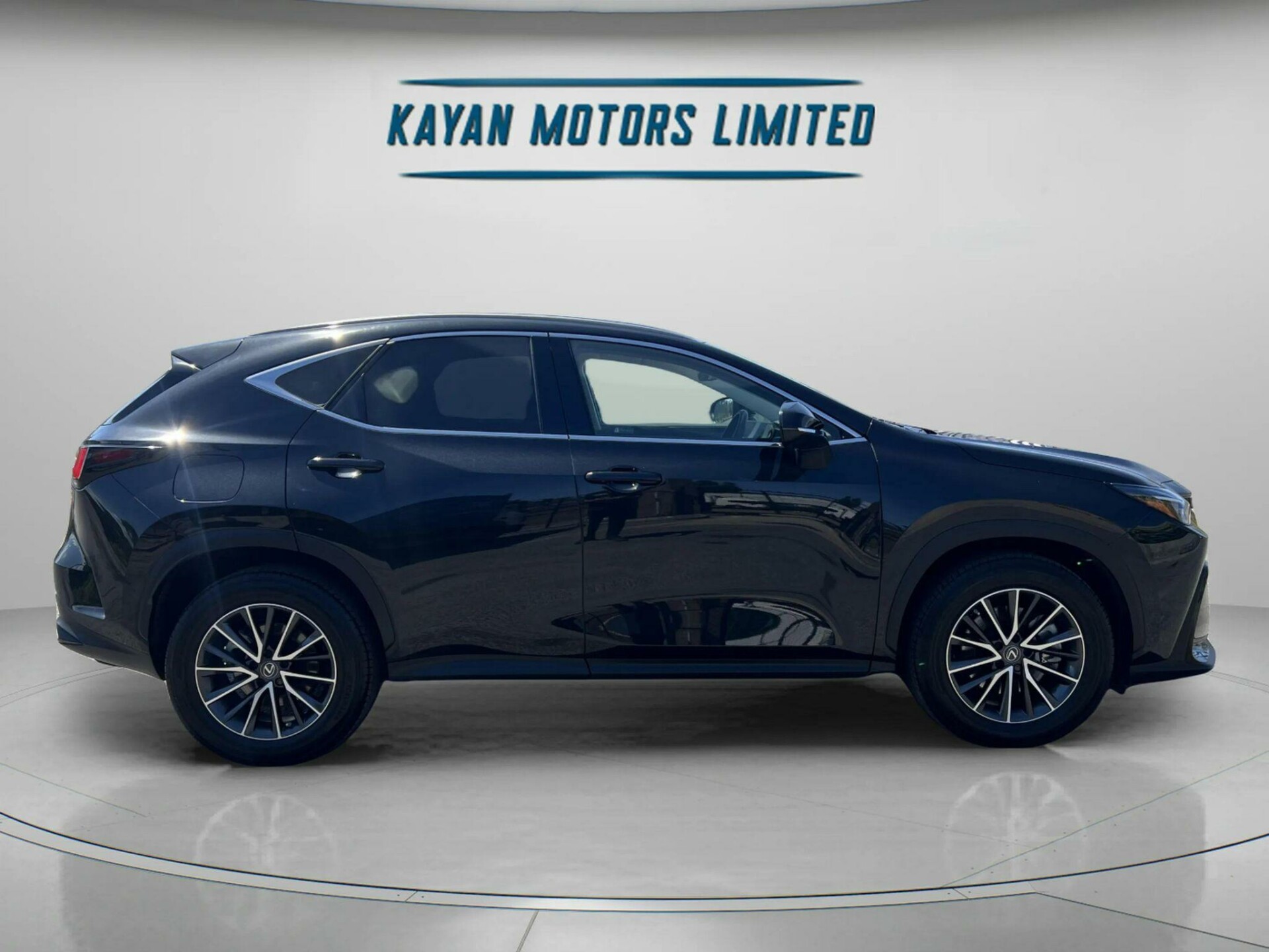 Lexus NX 300h