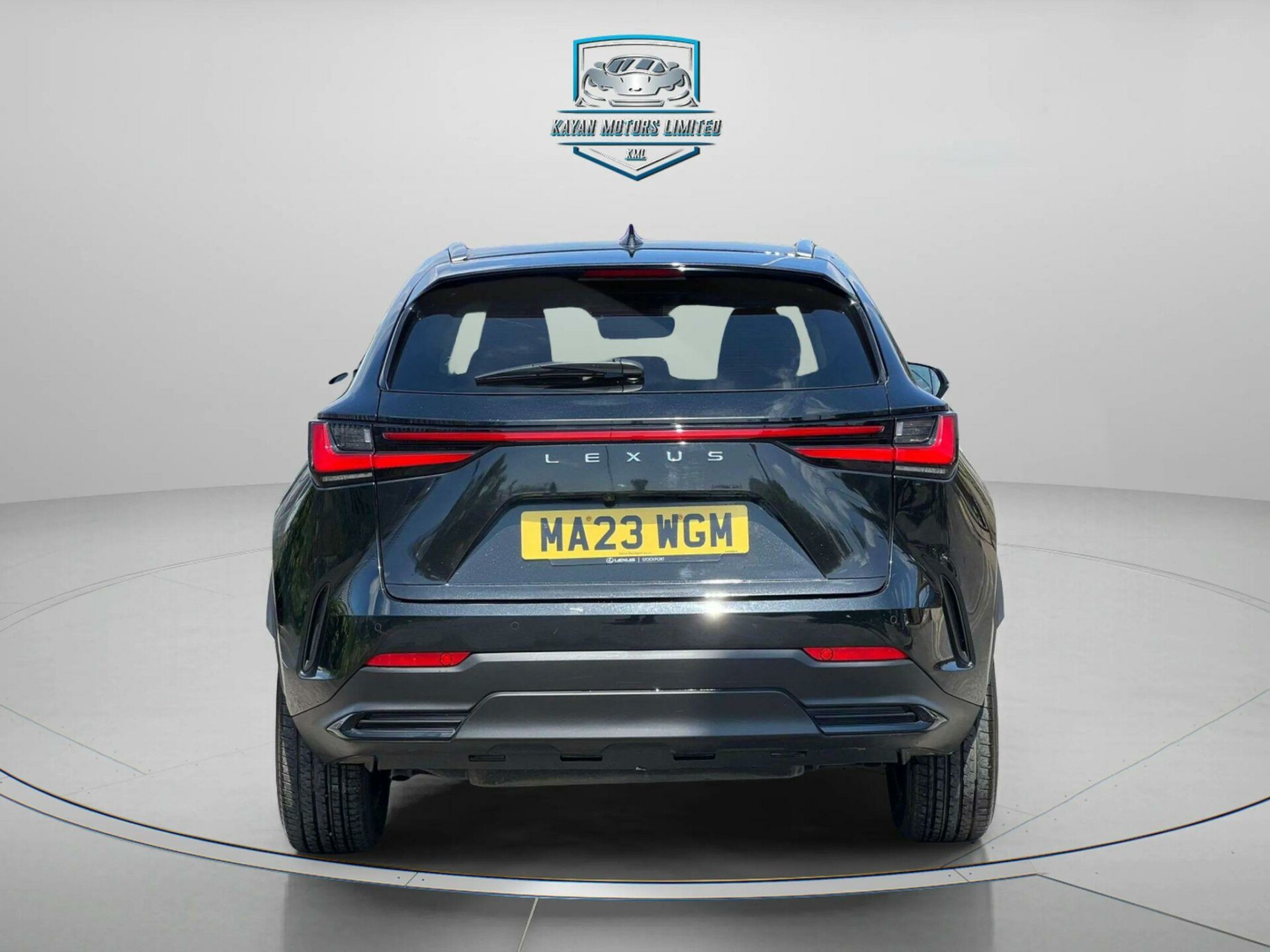 Lexus NX 300h