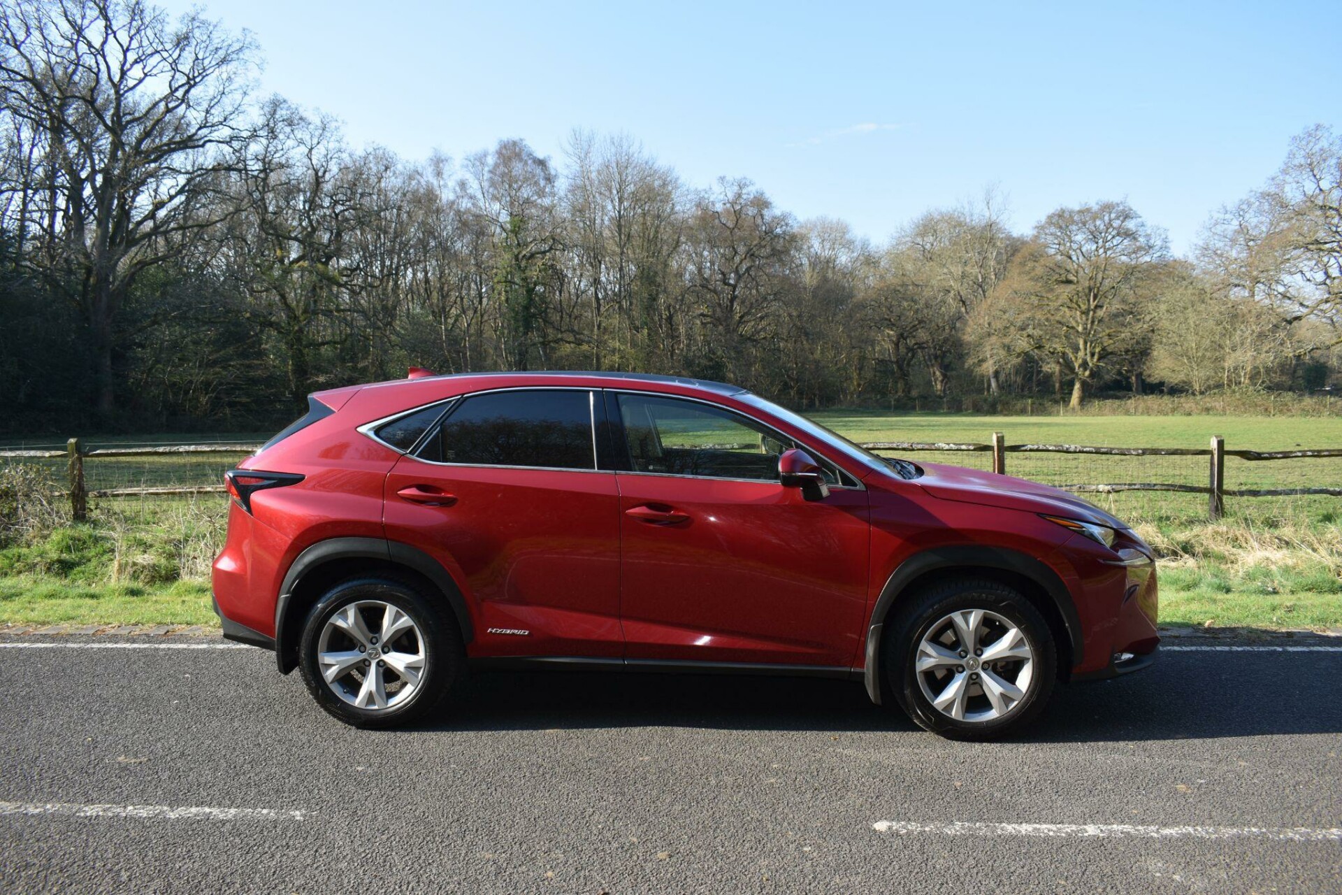 Lexus NX 300h