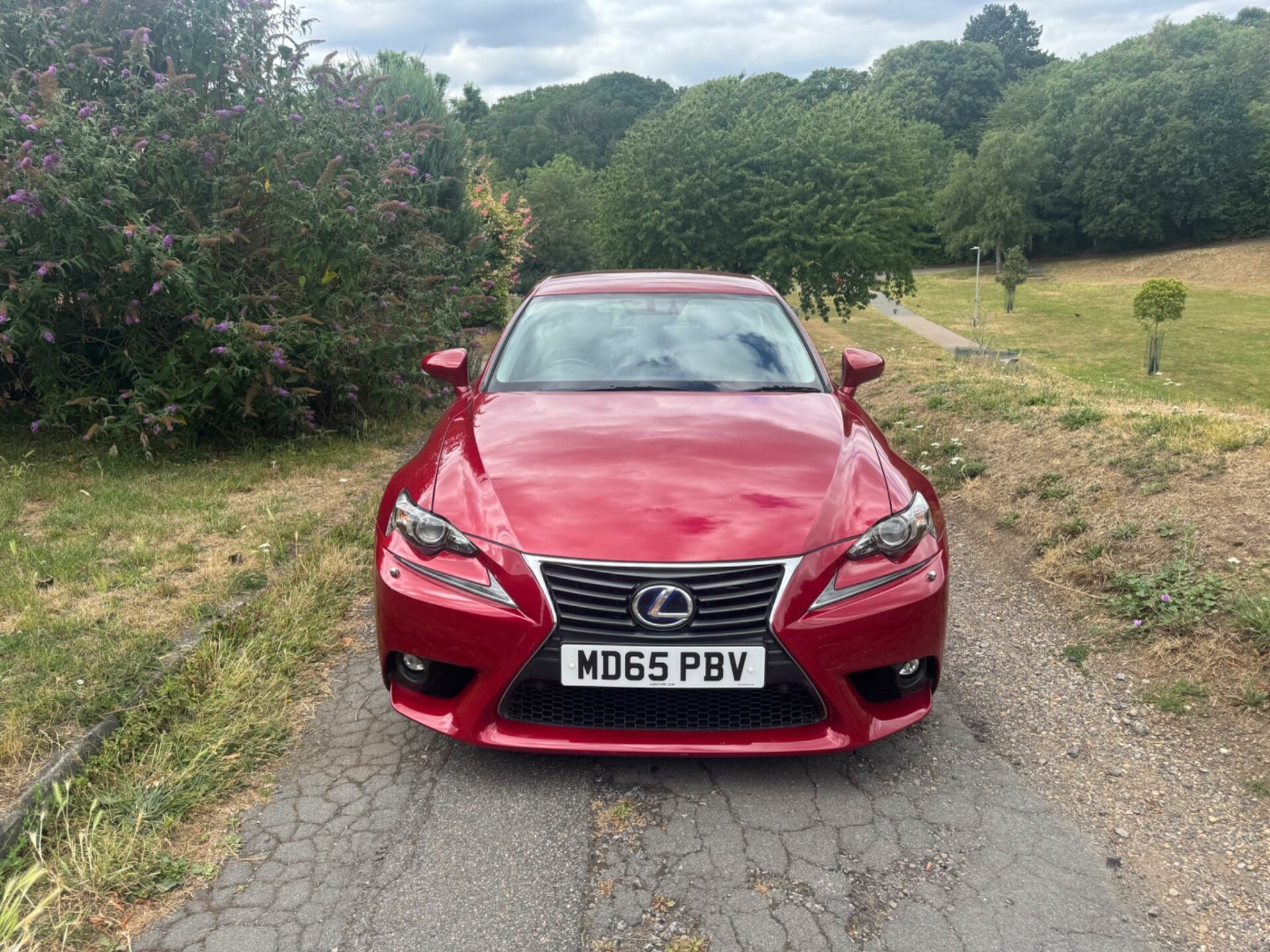 Lexus IS