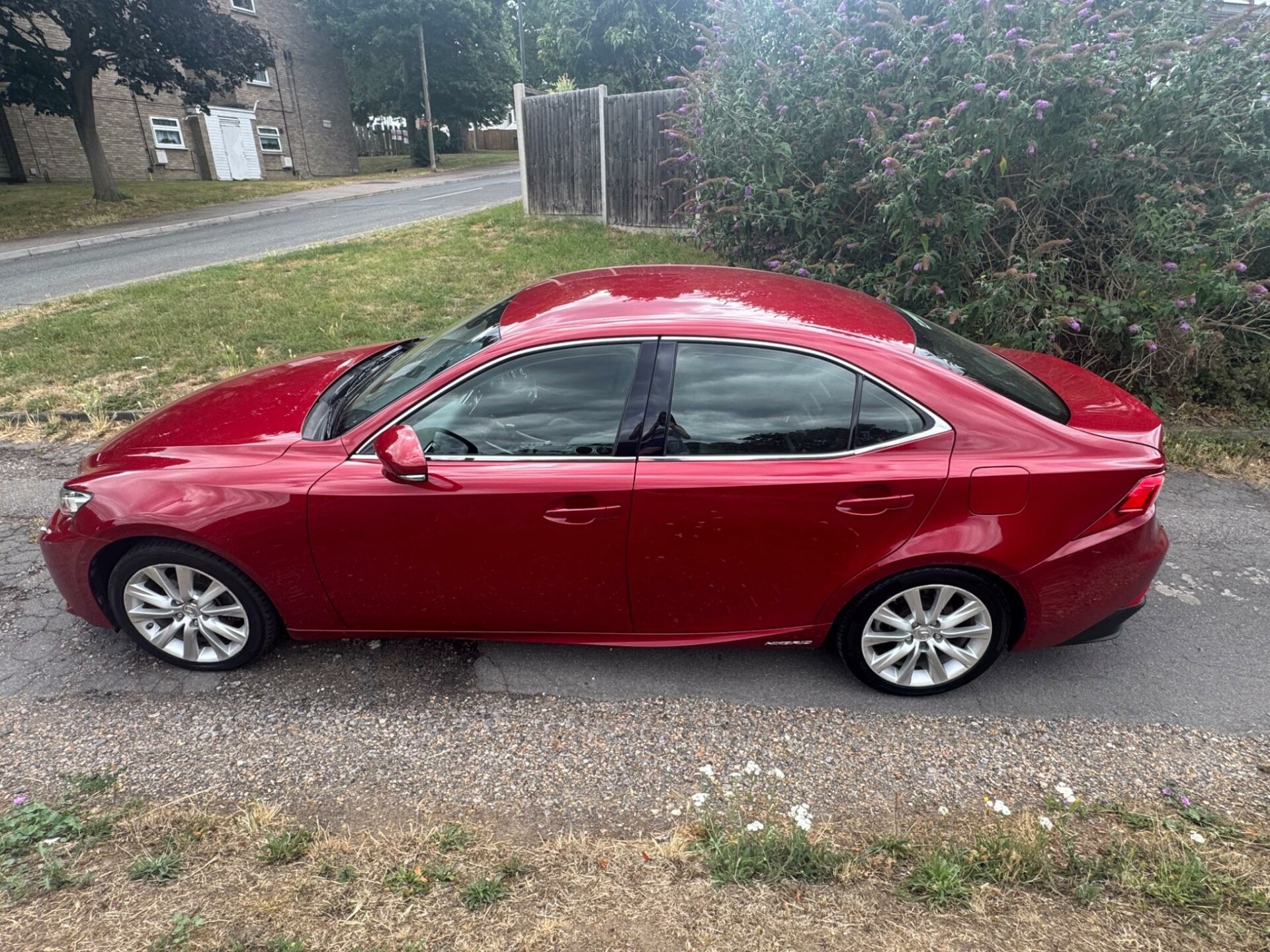 Lexus IS