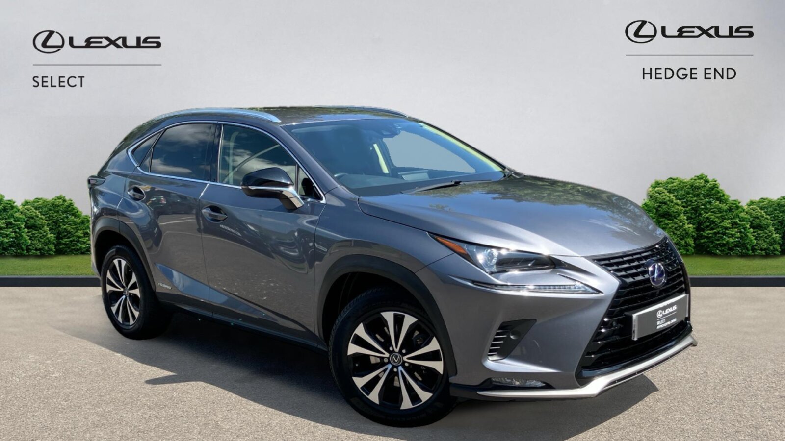 Lexus NX 300h