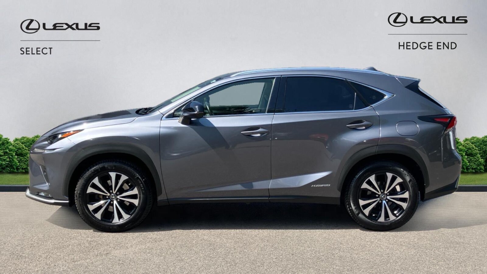 Lexus NX 300h