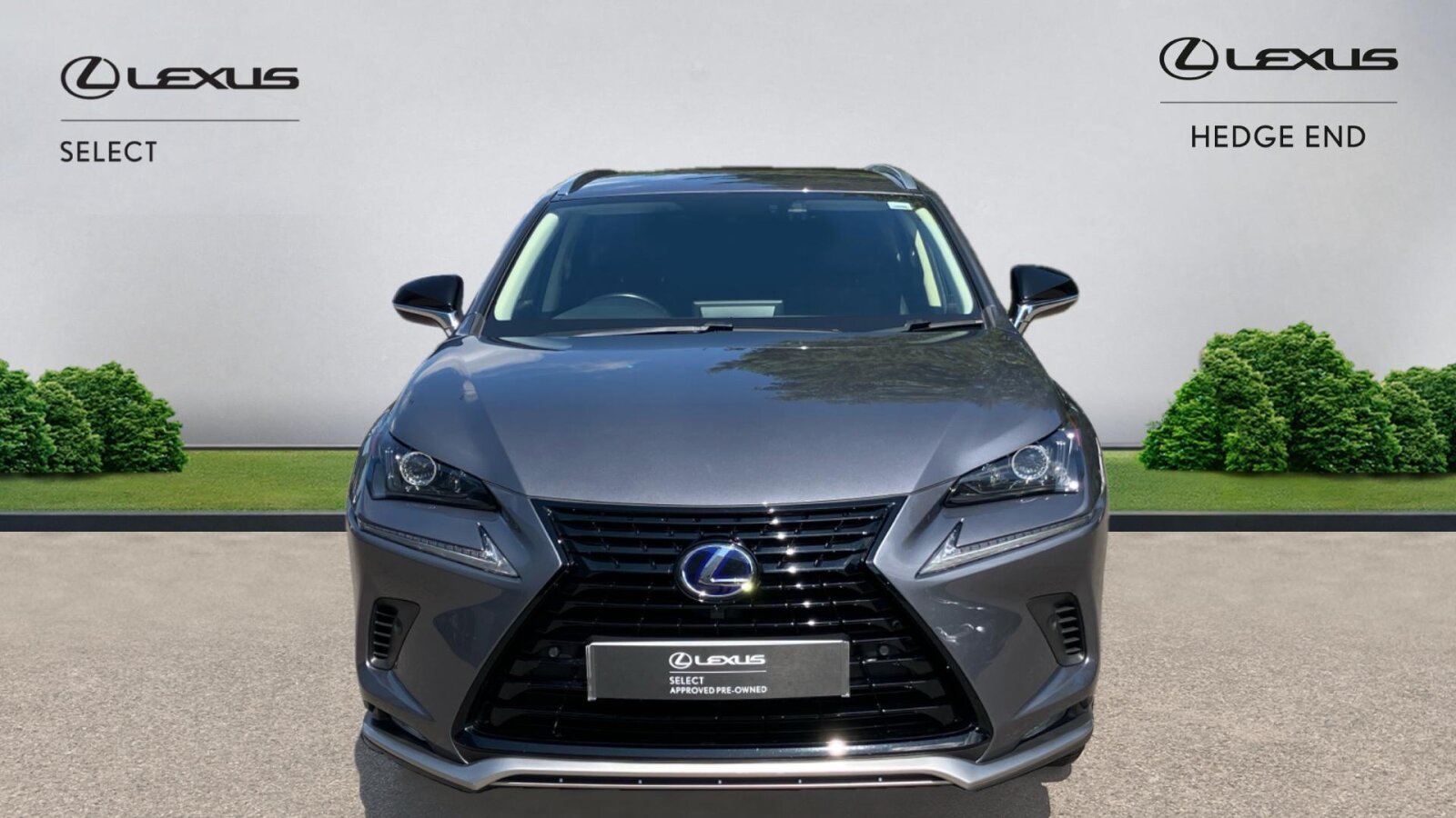 Lexus NX 300h