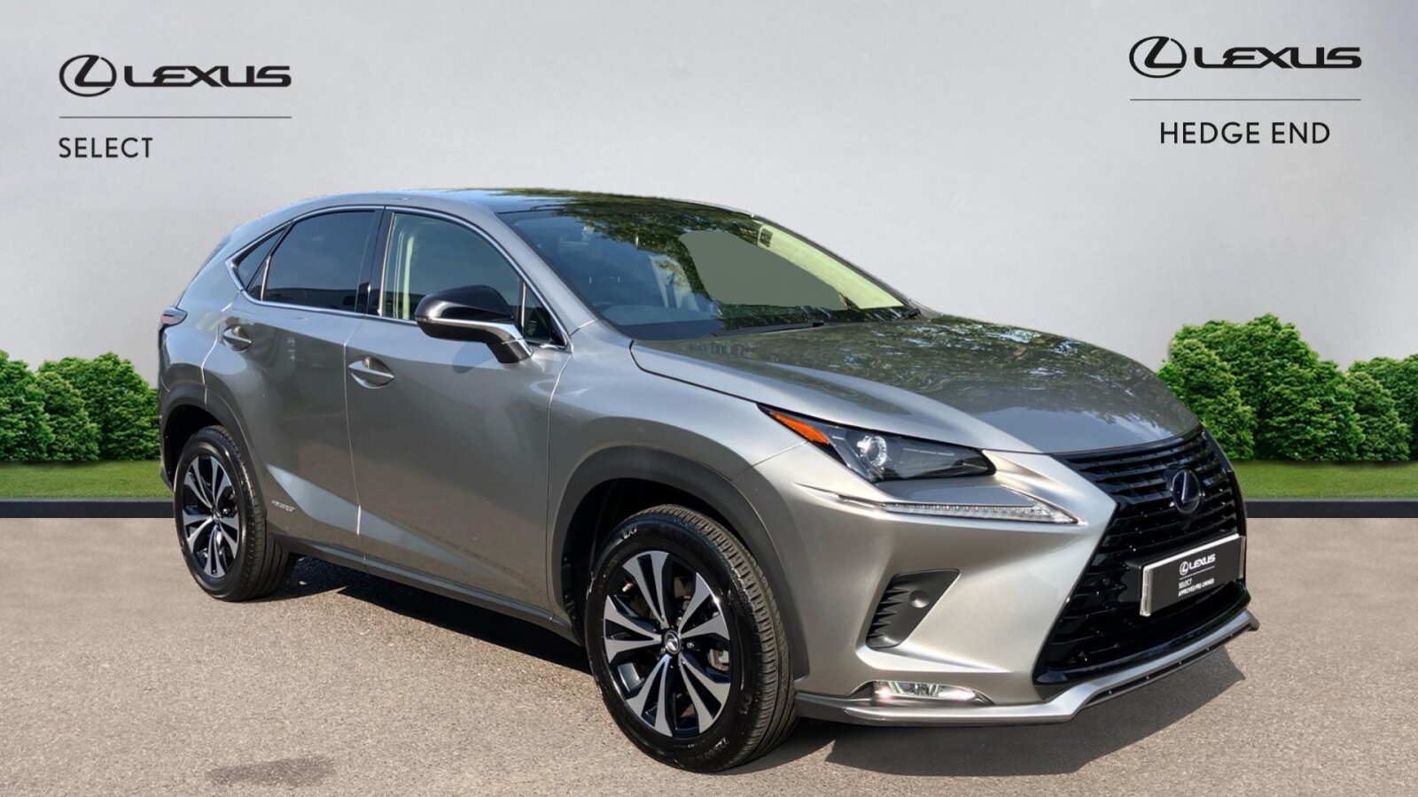Lexus NX 300h