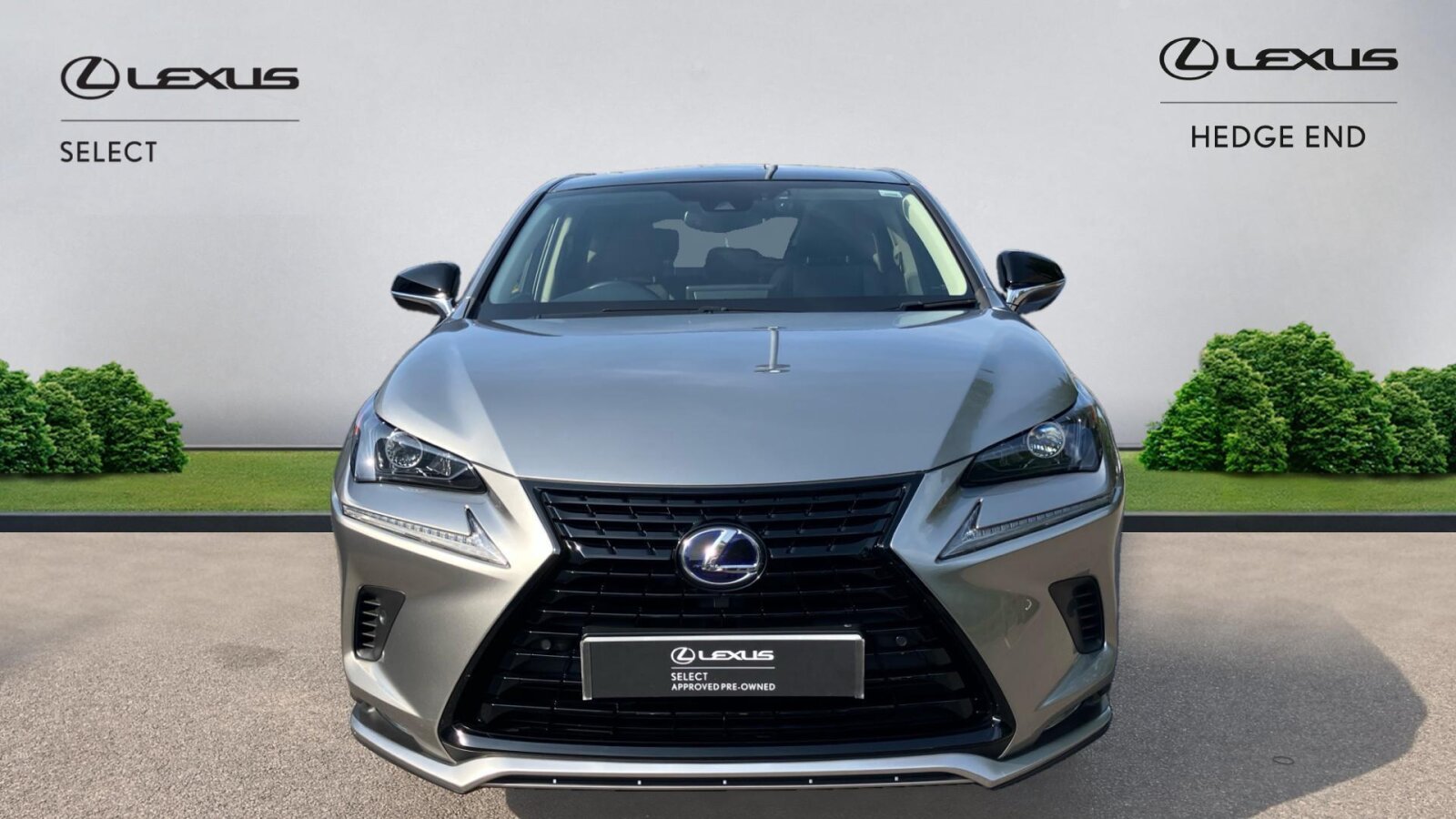 Lexus NX 300h