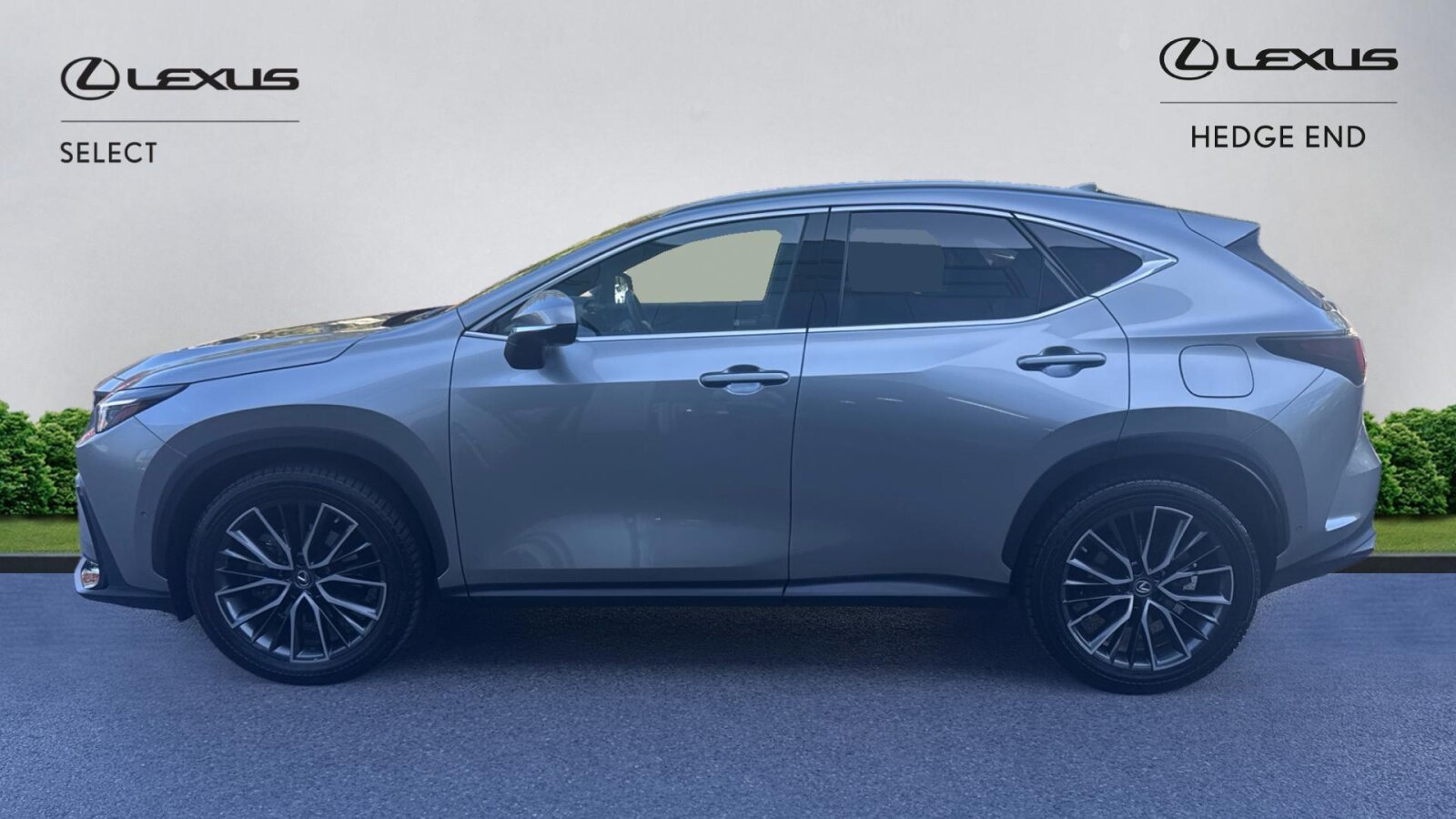 Lexus NX 300h