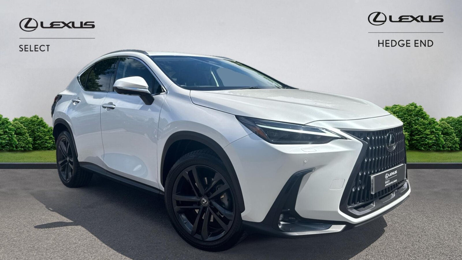 Lexus NX 300h