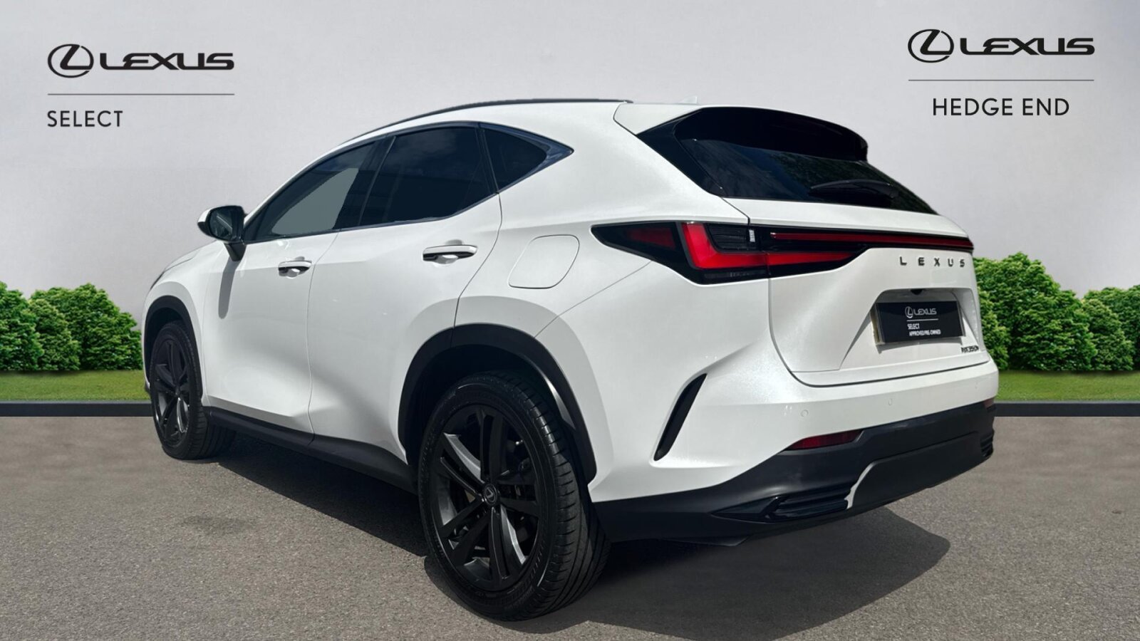 Lexus NX 300h