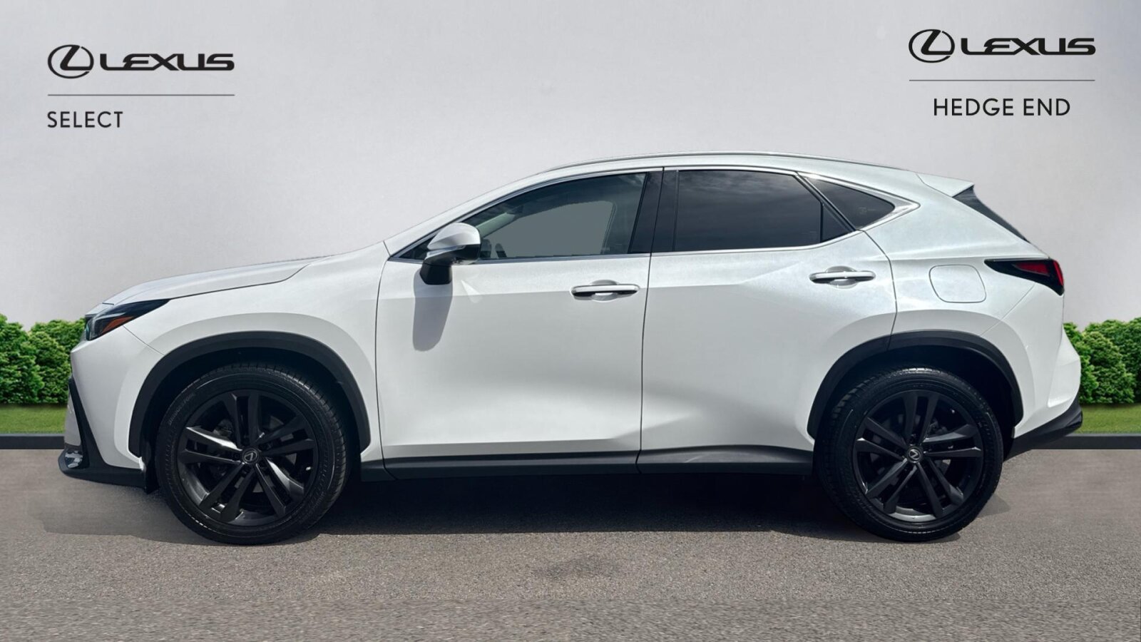 Lexus NX 300h