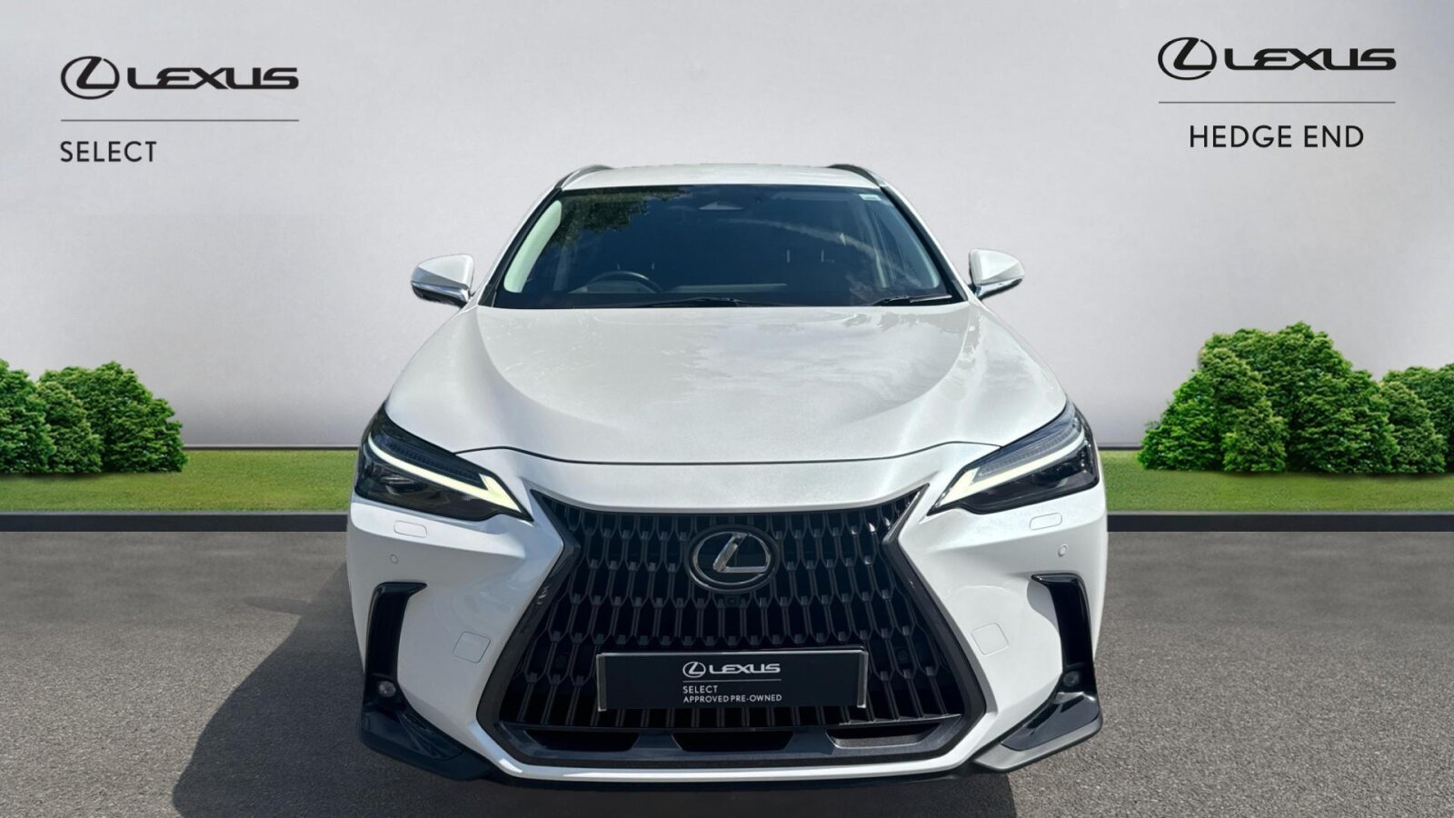 Lexus NX 300h