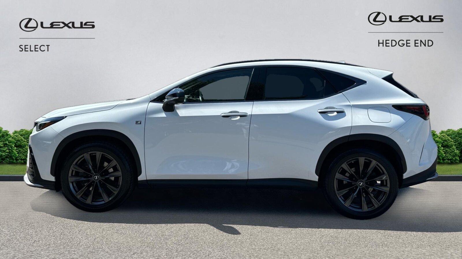 Lexus NX 300h