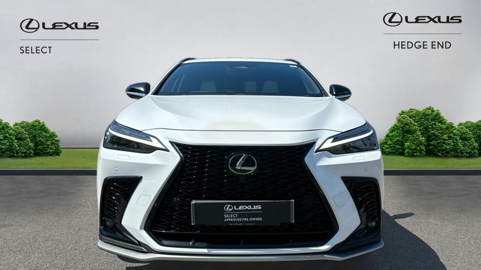 Lexus NX 300h