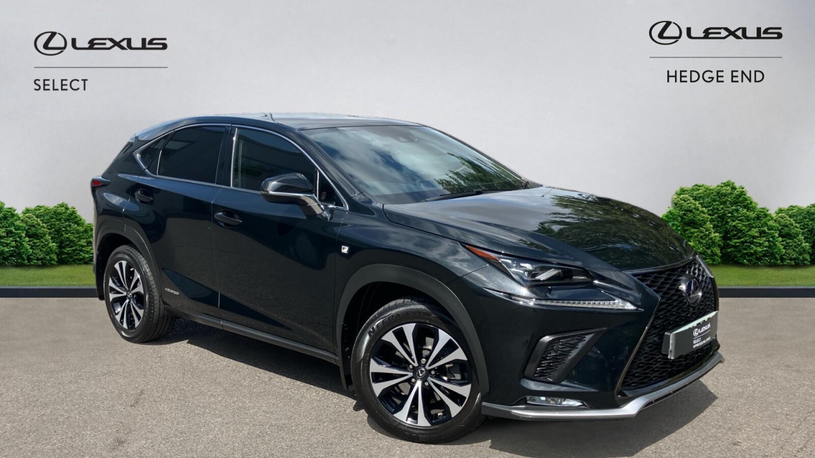 Lexus NX 300h