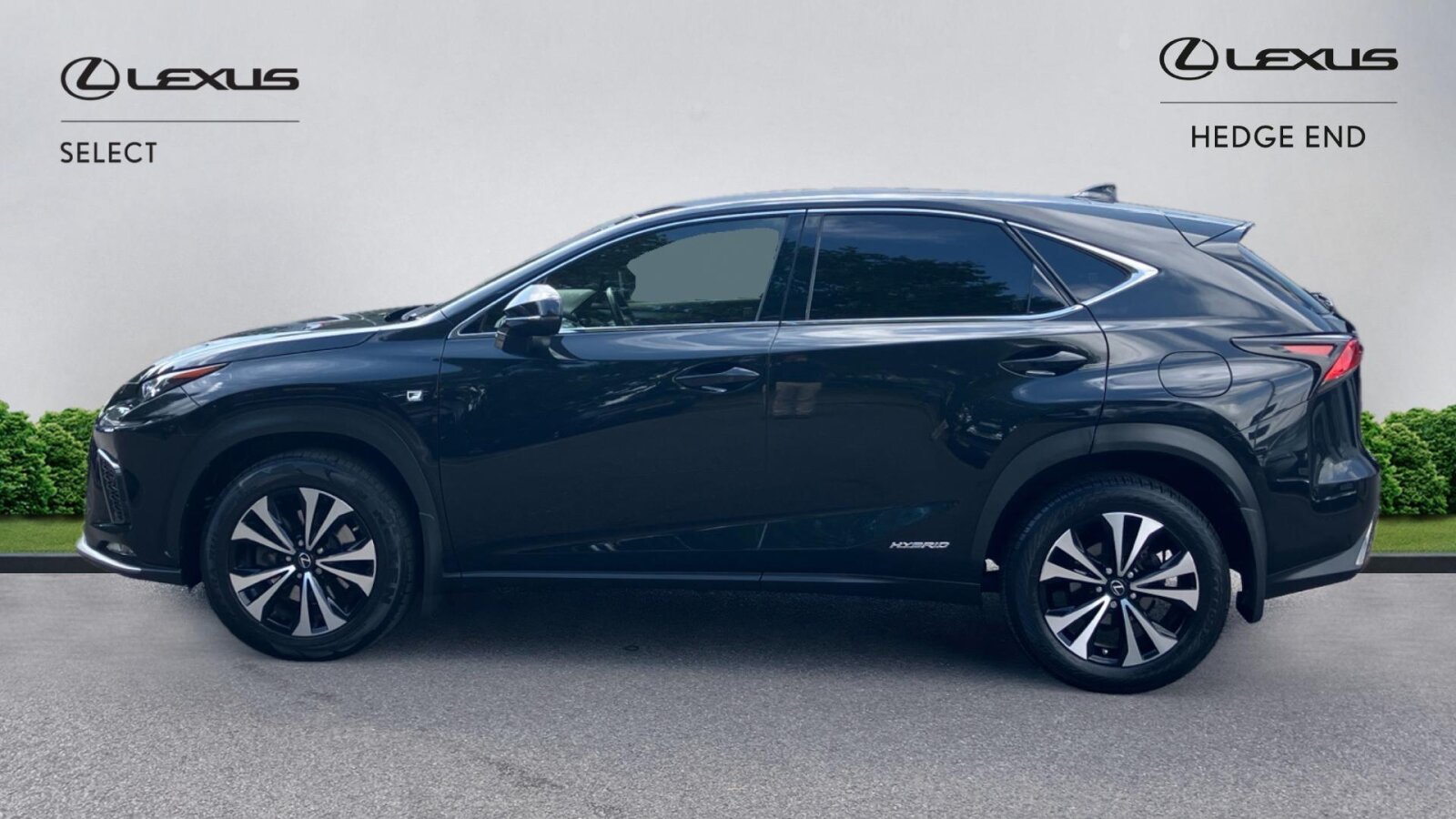 Lexus NX 300h