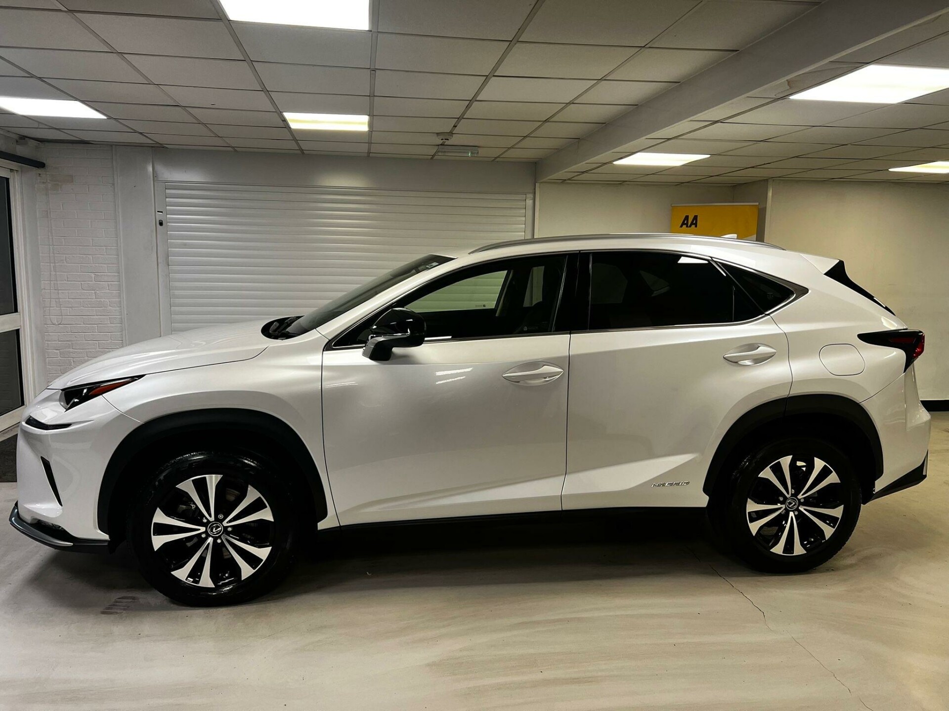 Lexus NX 300h