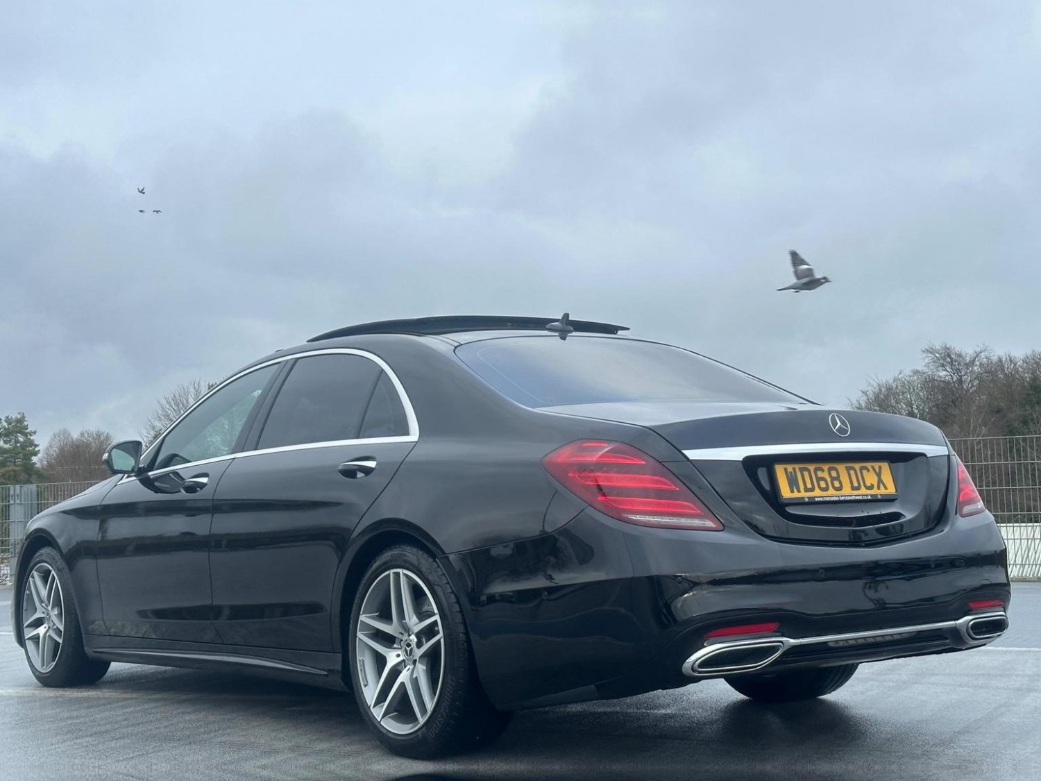Mercedes Benz S Class
