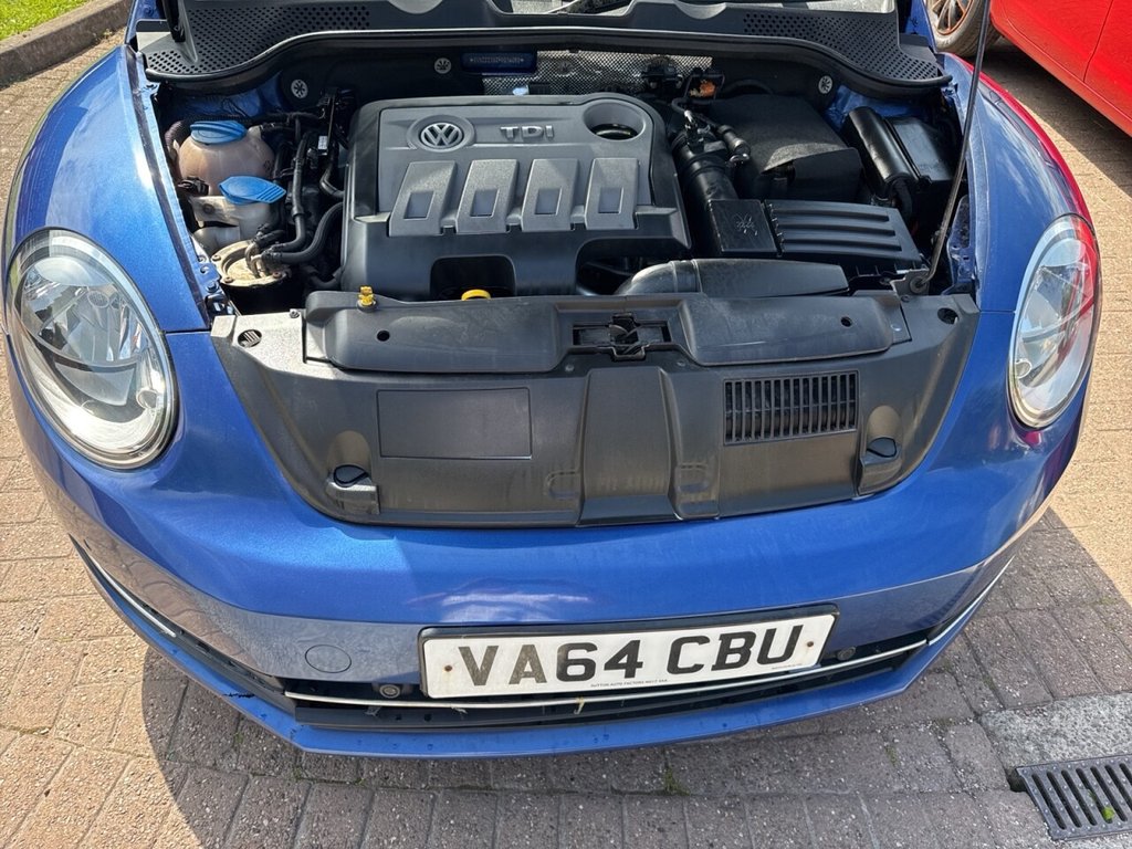 Volkswagen Beetle