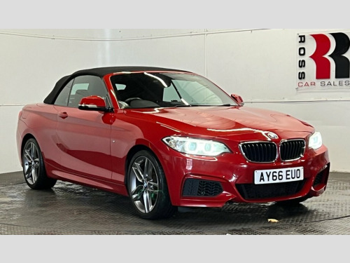BMW 2 Series  1.5 218i M Sport Convertible 2dr Petrol Auto Euro 