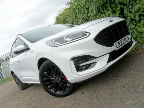 Ford Kuga  2.0 EcoBlue ST-Line X SUV 5dr Diesel Auto AWD Euro