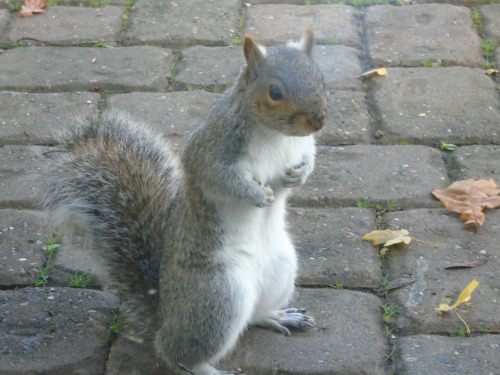 Volkswagen Passat  2.0 TDI Highline Plus Estate 5dr Diesel Manual Euro 5 (170 ps) 