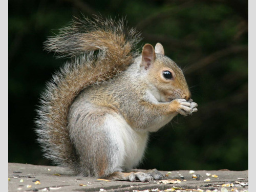 Vauxhall Mokka  1.6 Tech Line SUV 5dr Petrol Manual 2WD Euro 5 (s/s) (115 ps) 