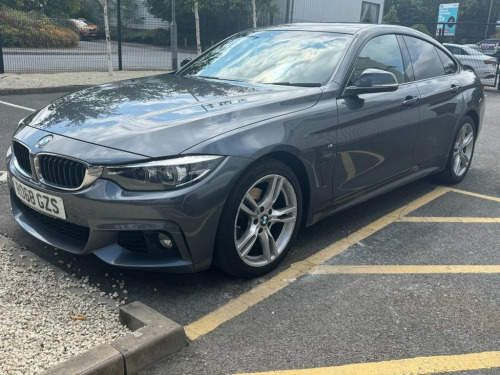 BMW 4 Series  2.0 420d M Sport Hatchback 5dr Diesel Auto Euro 6 