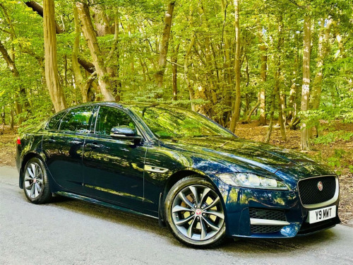 Jaguar XF  R-Sport D Auto
