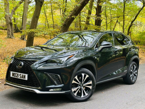 Lexus NX 300h F Sport CVT 4WD