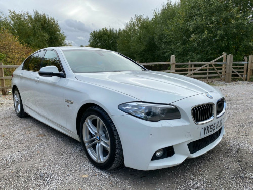 BMW 5 Series  2.0 518d M Sport Auto Euro 6 (s/s) 4dr