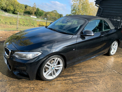 BMW 2 Series  2.0 218d M Sport Euro 6 (s/s) 2dr