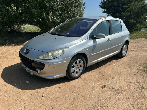 Peugeot 307 1.6 16v S
