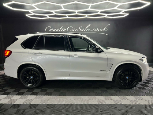 BMW X5  3.0 30d M Sport Auto xDrive Euro 6 (s/s) 5dr